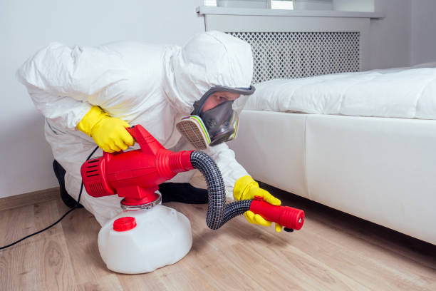 Best Pest Prevention Services  in South Greeley, WY